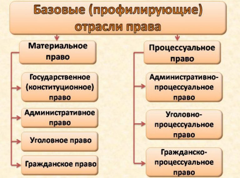 Презентация на тему процессуальные отрасли права 10 класс